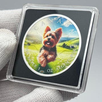 Canada. 5 Dollars 2026 – The Tiny Adventurer – 1 oz Silver