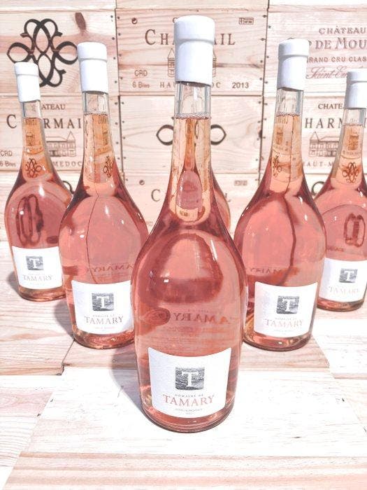 2023 Domaine de Tamary - Provence - 6 Magnums (1.5L), Verzamelen, Wijnen