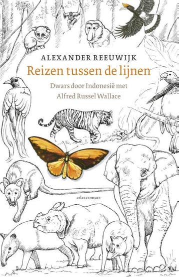 Reizen tussen de lijnen 9789045021805 Alexander Reeuwijk, Verzenden, Alexander Reeuwijk