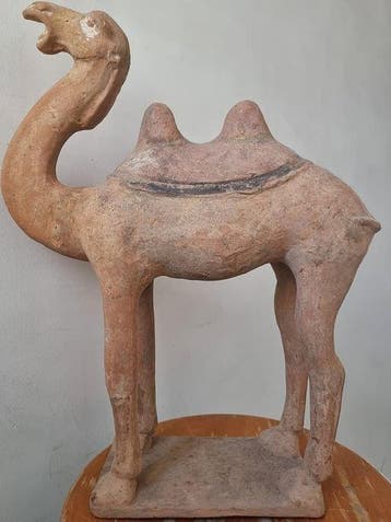 Oud Chinees, Tang-dynastie Terracotta Kameel met TL-test. -