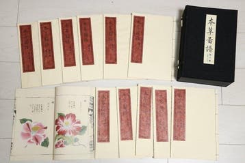 Honzozufu [Beperkte editie 256/700] Case 6 (12 boeken) -