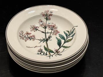 Villeroy & Boch - Plat (6) - Botanica - Porcelaine, Antiquités & Art