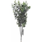 Eucalyptus tak Groen 39 cm bundel 6 stuks, Nieuw