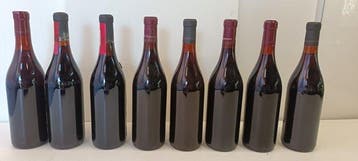 1982 , 1985 Bricco Rio Sordo & 1973, 1974, 1975, 1976, 1978,, Verzamelen, Wijnen, Nieuw