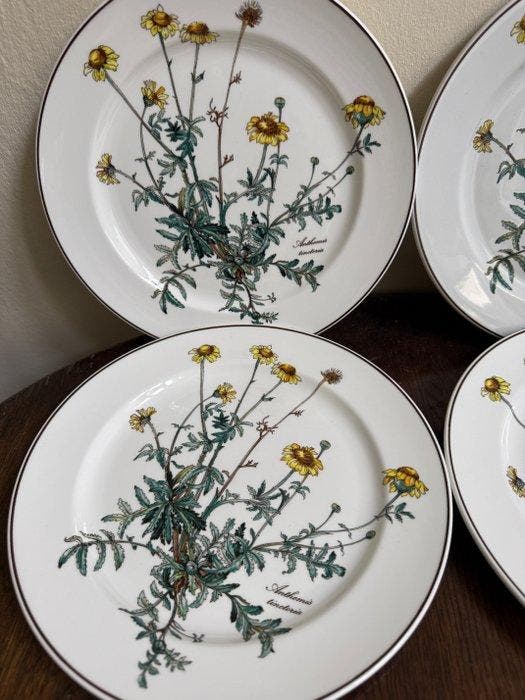 Villeroy & Boch - Bord (6) - Botanica - Porselein - 6, Antiek en Kunst, Antiek | Meubels | Tafels
