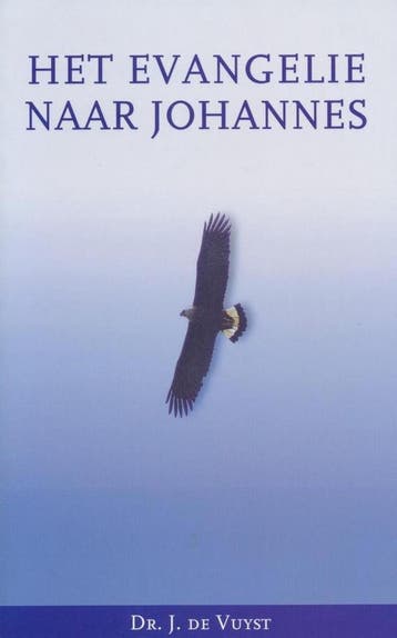 EVANGELIE NAAR JOHANNES 9789043502023 DE VUYST, Verzenden, Zo goed als nieuw, DE VUYST