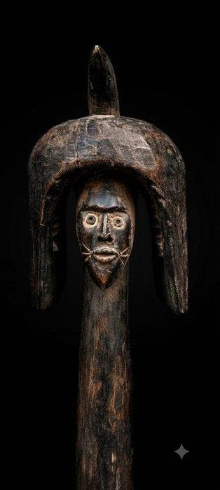 Prachtig mumuye - karim - moumoume - Nigeria (Zonder