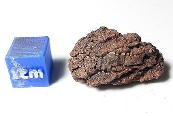 Meteoriet van Wabar IRON IIAB - Hoogte: 28 mm - Breedte: 7, Verzamelen
