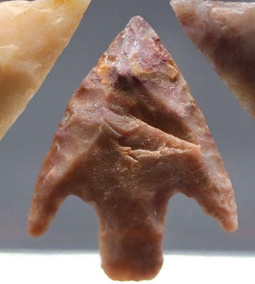 Néolithique Pointes de flèches (Sans prix de réserve)