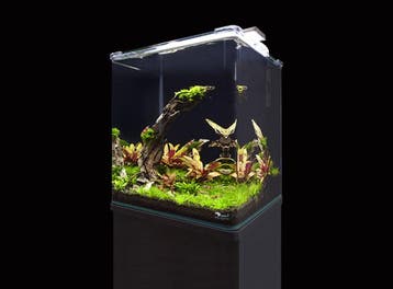AQUATLANTIS Aquarium + MEUBEL VOLGA, Verzenden, Nieuw