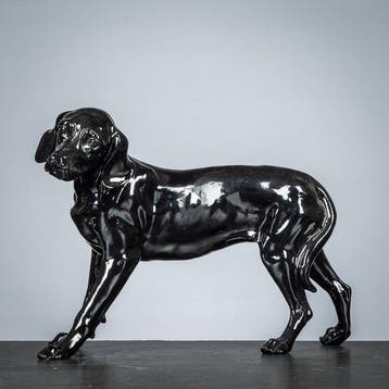 Sculpture, Fraaie Dalmatiër - 230 mm - Résine - 2022