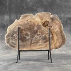 Prachtige plak versteend hout op een op maat gemaakte