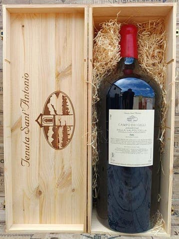 2013 Tenuta SantAntonio, Campo dei Gigli - Amarone della