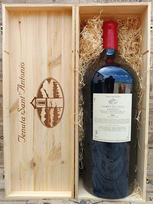 2013 Tenuta SantAntonio, Campo dei Gigli - Amarone della, Verzamelen, Wijnen