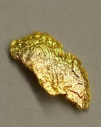 Goudklompje De Krokante Chip- 0.54 g - (1), Verzamelen