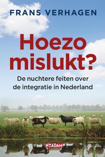 Hoezo mislukt? 9789046806340 Frans Verhagen, Verzenden, Frans Verhagen