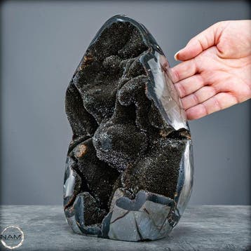 Zeer decoratieve septarian Druse, met calcietkristallen-