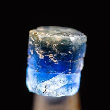 Myanmar Prachtig Koningsblauw Saffier • 22.35 ct • Record