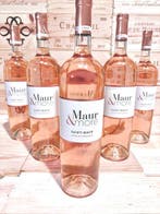 2023 Château Saint Maur cuvée Maur & More - Provence - 6, Collections