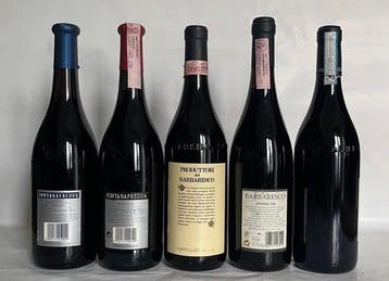 1997 Fontanafredda, 2021 Bel Colle, Nebbiolo, 1997, Nieuw