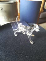 Swarovski - Figurine - Dalmatian puppy standing - 628947 -