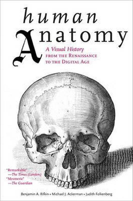 Human Anatomy 9780810997981 Benjamin A Rifkin, Boeken, Taal | Engels, Zo goed als nieuw, Verzenden