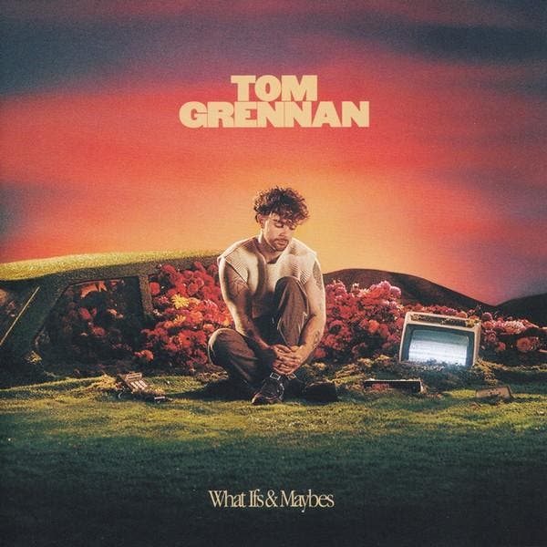 Tom Grennan - What Ifs &amp; Maybes, Cd's en Dvd's, Vinyl | Pop, Gebruikt, Verzenden