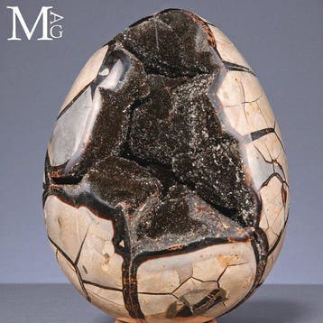 Nodule septaire sculpté – teintes terre Géode septaria