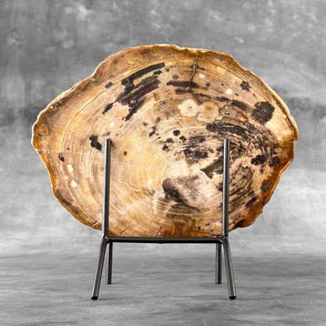 Prachtige snede van versteend hout op een op maat gemaakte