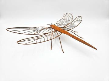 Dragonfly Wall Art - Beeldje - Staal