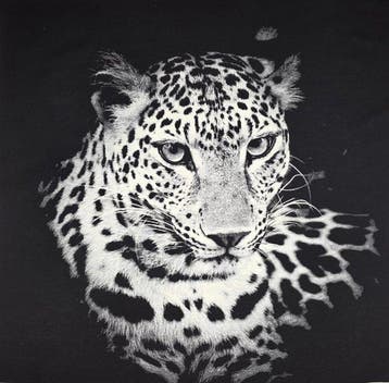 ARAZZO « Predator Noir » en tissage Gobelin – 140 × 140 cm –