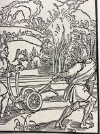 Albrecht Durer (1471-1528), after - Incorrigible Fools