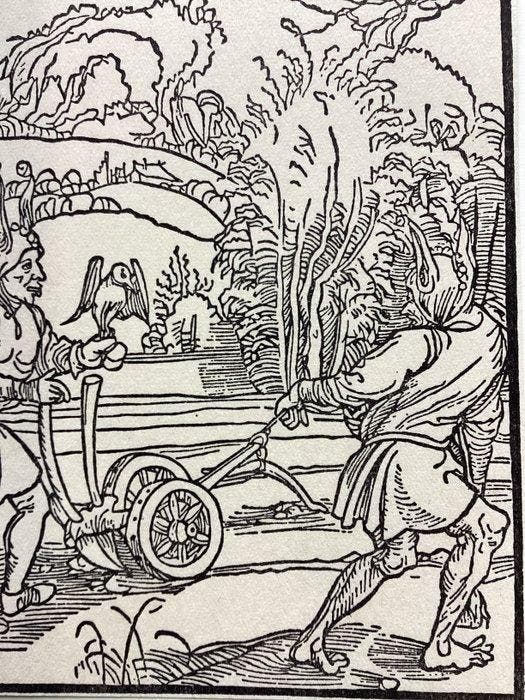 Albrecht Durer (1471-1528), after - Incorrigible Fools, Antiek en Kunst, Antiek | Boeken en Manuscripten