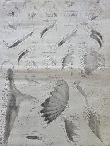 Medisch instrument (20) - Papier