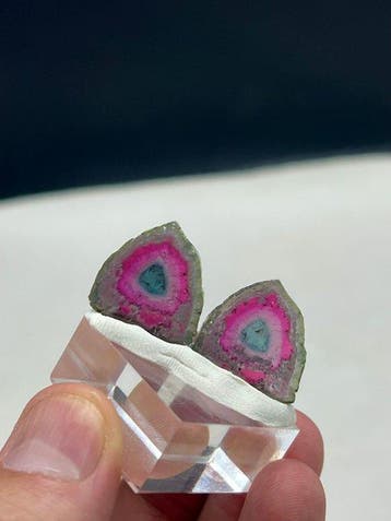 driekleurige tourmalijn Plakken - Hoogte: 18 mm - Breedte:, Collections