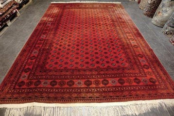 Afghan - Tapijt - 355 cm - 260 cm