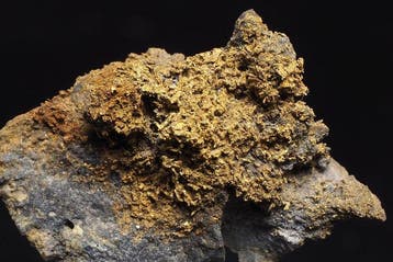 Goud Kristallen op matrix - Hoogte: 2.7 cm - Breedte: 3.5, Verzamelen