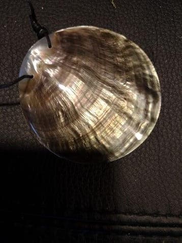 Gepolijst nautilus schelp met gaatje voor hanger of