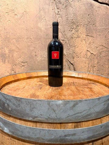 2013 Bodega Numanthia, Termanthia - Toro - 1 Fles (0,75, Nieuw