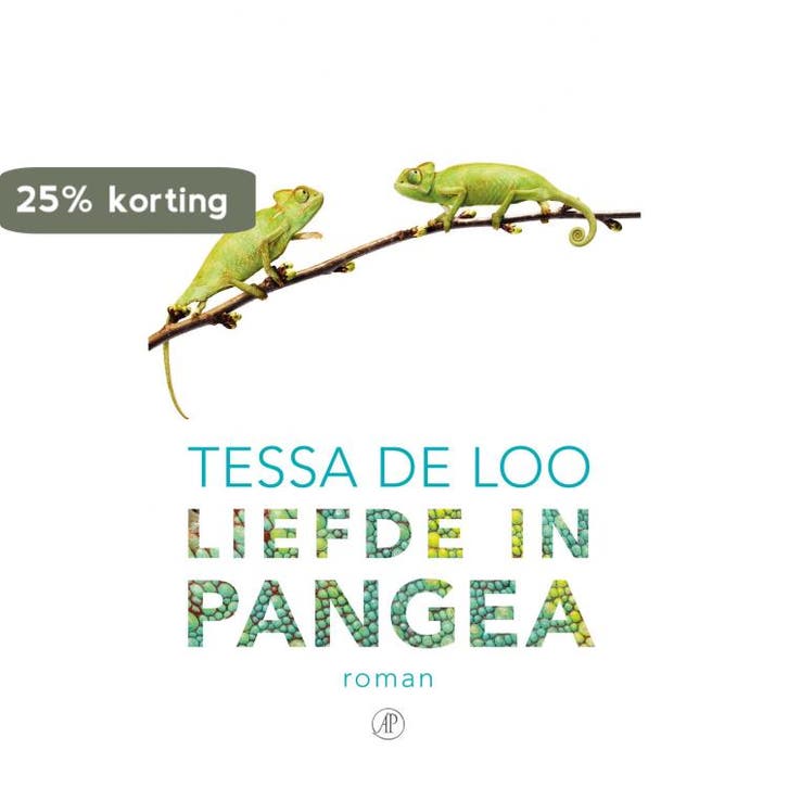 Liefde in Pangea 9789029505598 Tessa de Loo, Boeken, Romans, Gelezen, Verzenden
