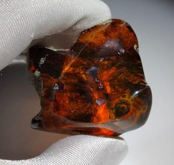 Mexicaanse Amber Chiapas!! AAA Gratis verzending!- 20.83 g