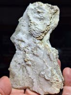 Zeldzame Mallorcaanse satijnspaat Fluorescerende - Hoogte: