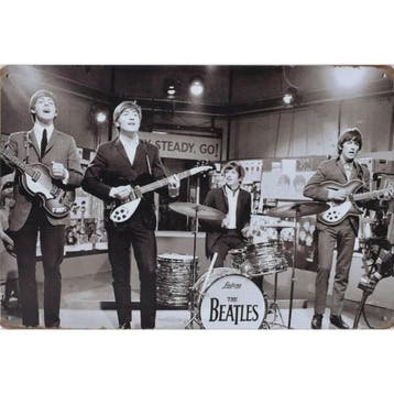Wandbord Concert Bord - The Beatles Live In Concert On TV, Collections, Poster, Artwork of Schilderij