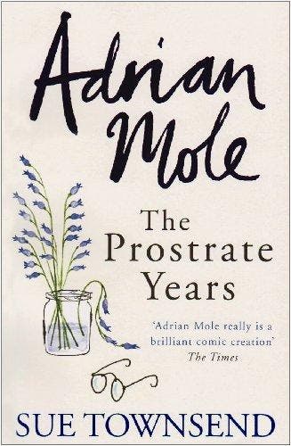 Adrian Mole 9780718154264 Sue Townsend, Verzenden, Zo goed als nieuw, Sue Townsend