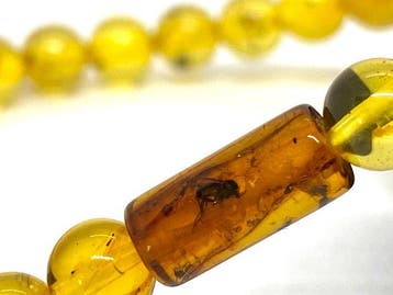 Gevangen in de eeuwigheid • Gele Baltische amberarmband met