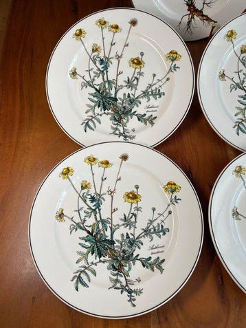 Villeroy & Boch - Eetservies - Porselein - Botanica