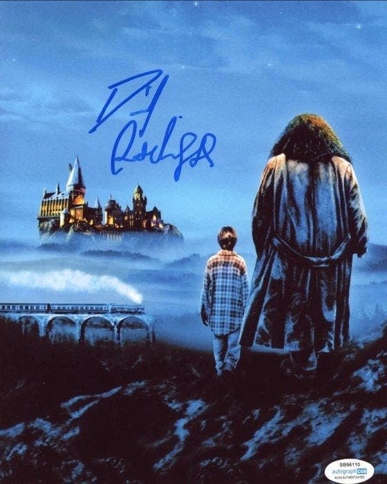 Harry Potter - Signed by Daniel Radcliffe (Harry), Collections, Cinéma & Télévision