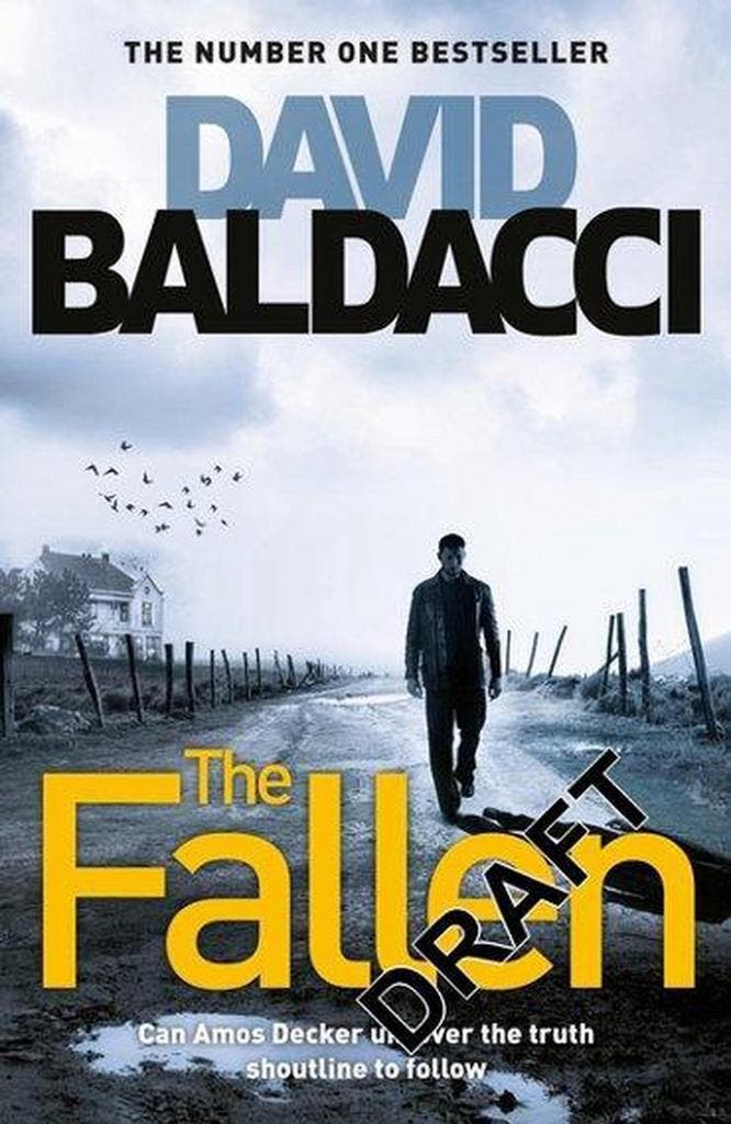 The Fallen 9781509874262 David Baldacci, Boeken, Taal | Engels, Zo goed als nieuw, Verzenden