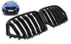 Grillen set | Nieren | BMW | X6 5d suv G06 xDrive40i, xDrive, Verzenden