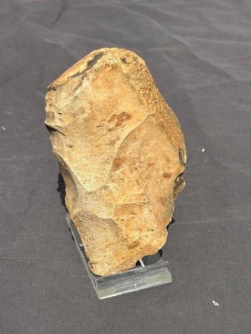 Paleolithisch Moustérien Levallois-Kern / Vuistbijl –